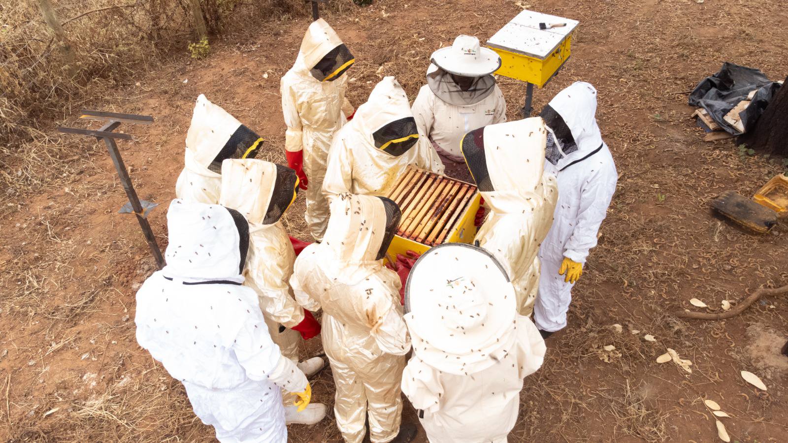 Five-Day Moyale Training Equips Farmers, Extension Officers with Modern Apiculture Skills
